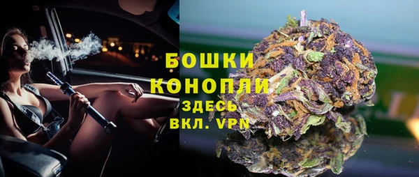 spice Пересвет